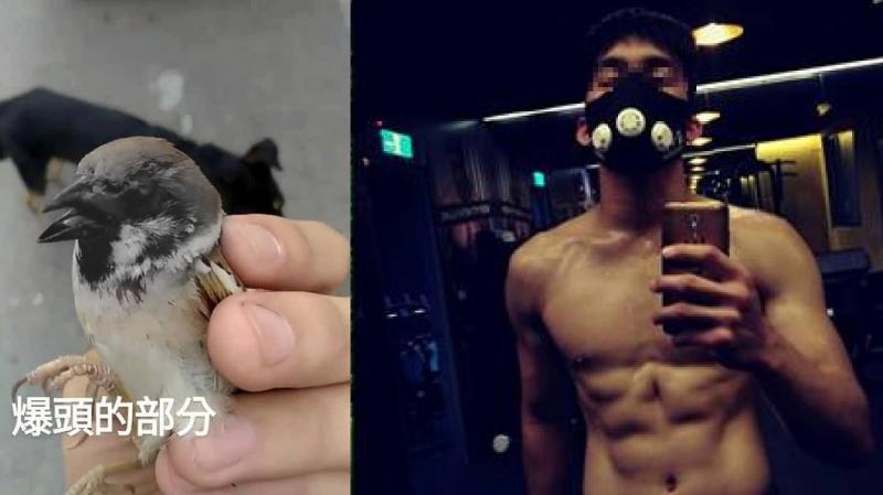 同框林志玲害她「慘變蛇精臉」！丫頭揭真相：跟姐姐跪了