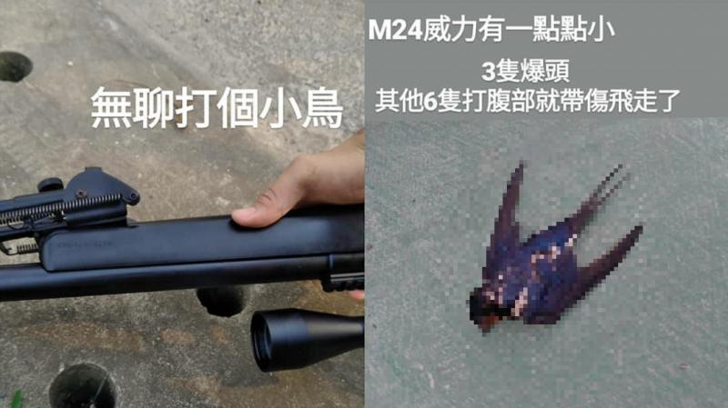 同框林志玲害她「慘變蛇精臉」！丫頭揭真相：跟姐姐跪了
