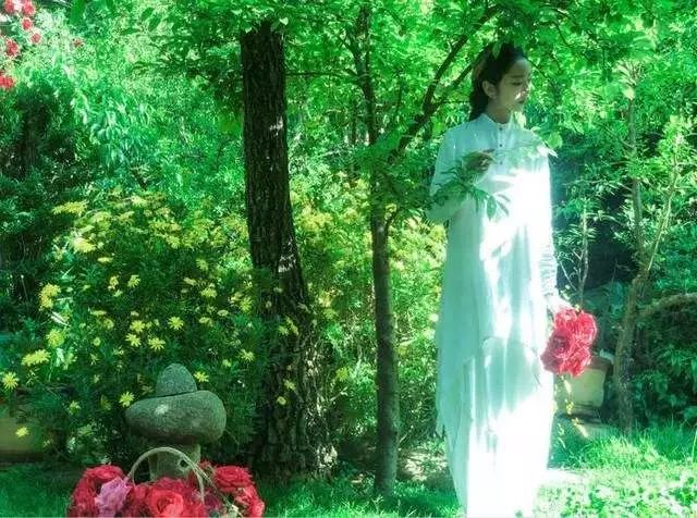素食女神楊麗萍的「自我禪修」：60多歲的女人怎麼能美成這樣？