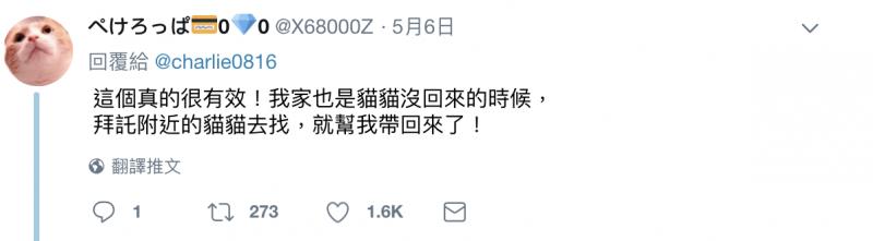 喵喵都市傳說？　日網友家貓走失「請野貓傳話」竟然真的回來了！ 