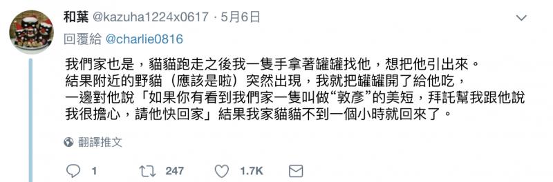 喵喵都市傳說？　日網友家貓走失「請野貓傳話」竟然真的回來了！ 