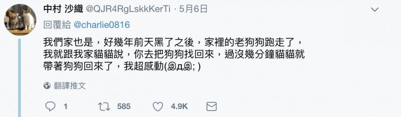 喵喵都市傳說？　日網友家貓走失「請野貓傳話」竟然真的回來了！ 