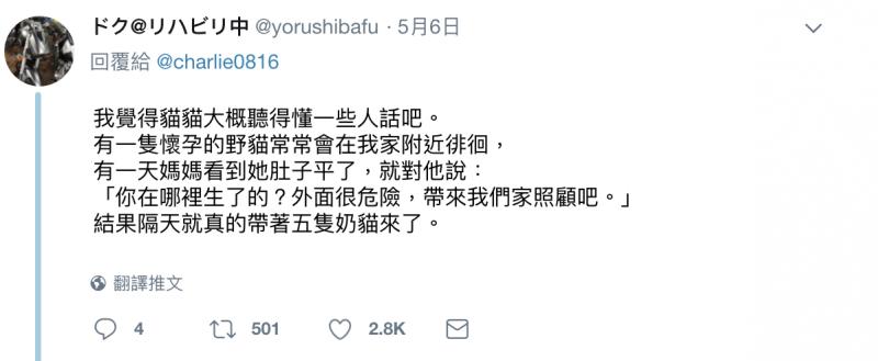 喵喵都市傳說？　日網友家貓走失「請野貓傳話」竟然真的回來了！ 