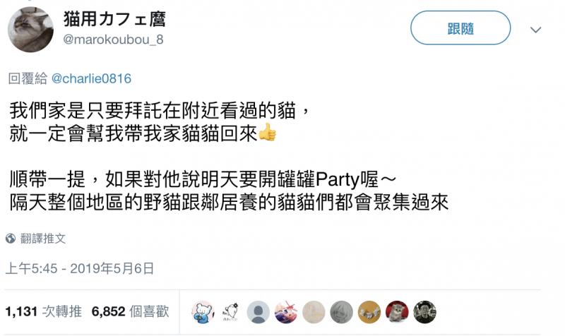 喵喵都市傳說？　日網友家貓走失「請野貓傳話」竟然真的回來了！ 