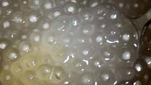 煮西米是冷水還是開水下鍋，這樣做，西米粒粒分明，透明有勁道