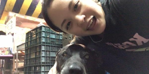 狗狗趴奶奶遺照前離世，感謝16年前的收留，家人把它葬在院子