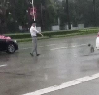 去接新娘的路上遇到淋雨小狗，新郎告訴司機：快停車，新郎與狗出現暖心畫面
