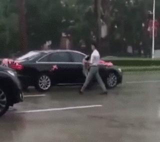 去接新娘的路上遇到淋雨小狗，新郎告訴司機：快停車，新郎與狗出現暖心畫面