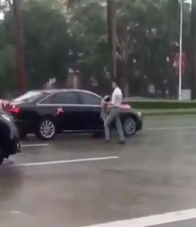 去接新娘的路上遇到淋雨小狗，新郎告訴司機：快停車，新郎與狗出現暖心畫面