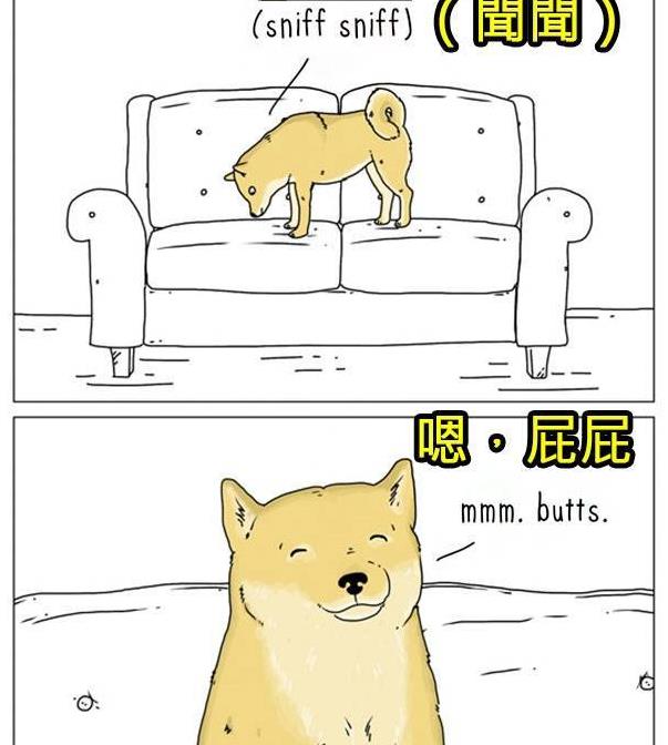 8張動物們內心真實想法爆笑插圖，讓你再也不敢直視你的寵物了