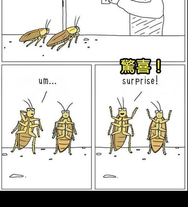 8張動物們內心真實想法爆笑插圖，讓你再也不敢直視你的寵物了