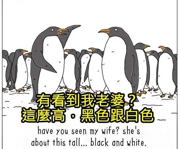 8張動物們內心真實想法爆笑插圖，讓你再也不敢直視你的寵物了