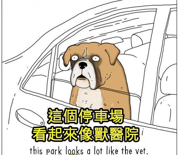8張動物們內心真實想法爆笑插圖，讓你再也不敢直視你的寵物了