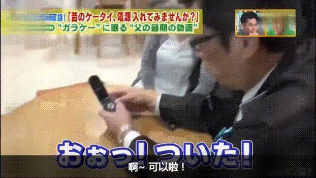 請不要嘲笑視狗如命的人，有一種感情你真的不懂