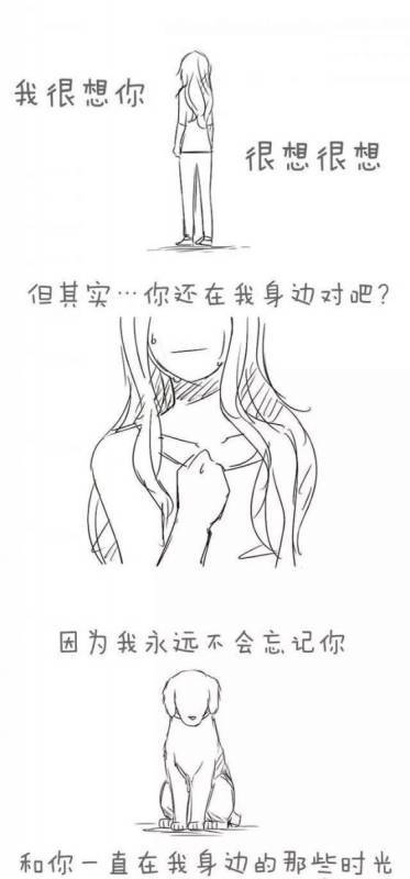 請不要嘲笑視狗如命的人，有一種感情你真的不懂