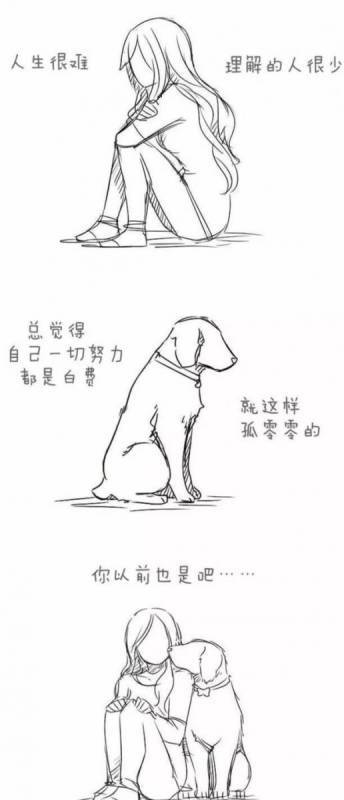 請不要嘲笑視狗如命的人，有一種感情你真的不懂