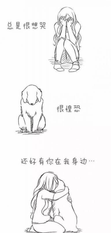 請不要嘲笑視狗如命的人，有一種感情你真的不懂