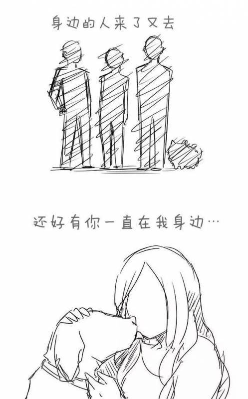 請不要嘲笑視狗如命的人，有一種感情你真的不懂
