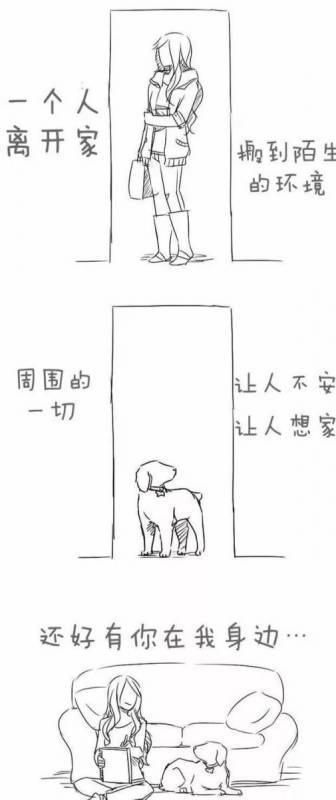 請不要嘲笑視狗如命的人，有一種感情你真的不懂
