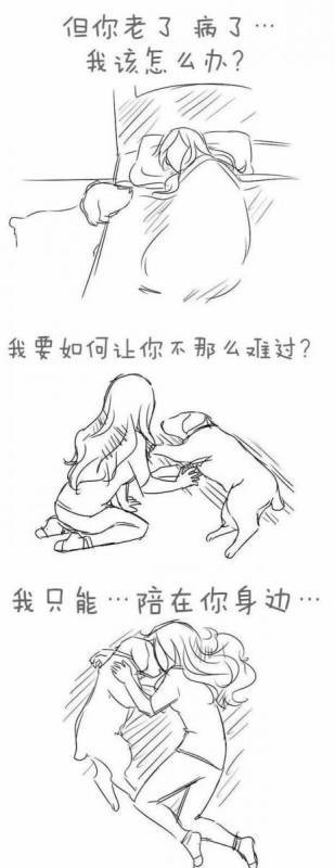 請不要嘲笑視狗如命的人，有一種感情你真的不懂