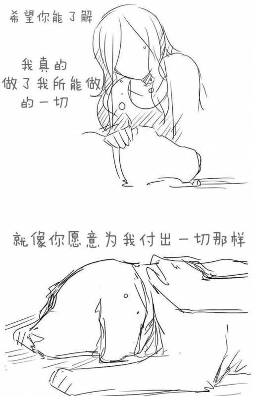 請不要嘲笑視狗如命的人，有一種感情你真的不懂