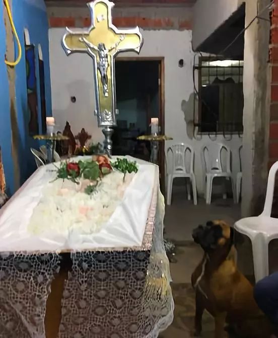 狗狗陪伴主人對抗病魔6年，主人離開世界時，狗狗嗚嗚哭了