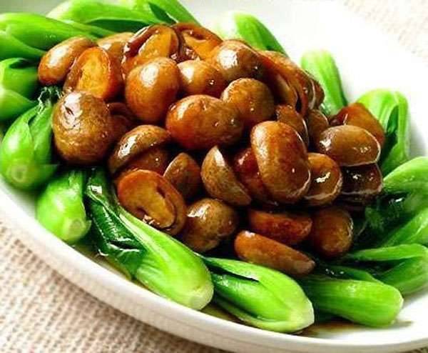 十道全素食譜，做法簡易，取材容易，是準備素食家常菜的最佳參考！