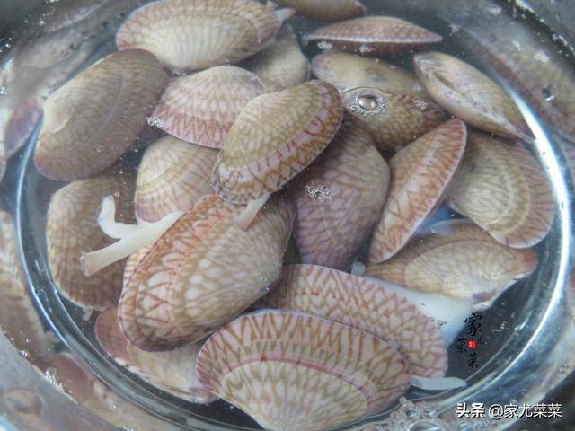 花甲別總是用來爆炒，試試這種夏天的家常湯做法，鮮美無沙無腥味