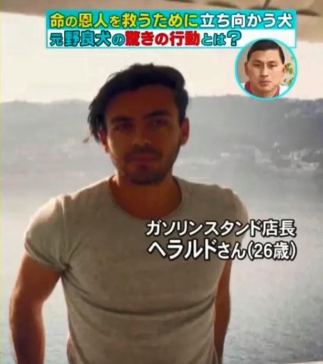 流浪狗感謝加油站店長「餵食之恩」，加油站遭遇搶劫牠趕跑搶匪：這次換我保護你