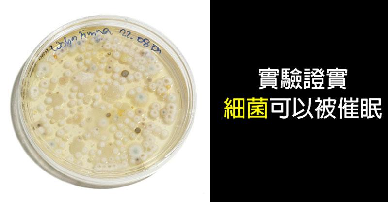 10個讓你不經懷疑自己「其實已經被操控很久了」的恐怖催眠案例。手術前「自我催眠」效果超狂！