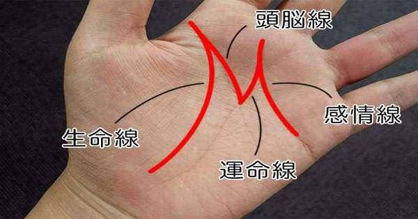 你是「M型手相」嗎？快看你的手！測出你的好命財運！