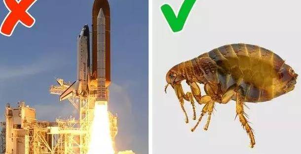 16張照片給大家看其他更加神奇的照片
