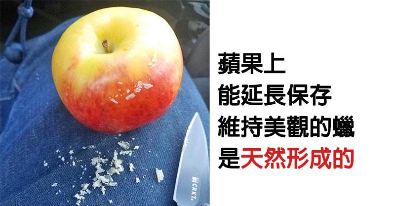 6個各種可怕食物傳言的「錯誤迷思」　你們害怕的「油炸食物」也是有優點的！