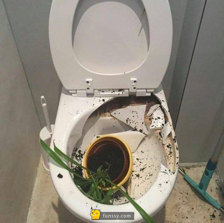 25個真的發生在這世界的各種奇葩的事