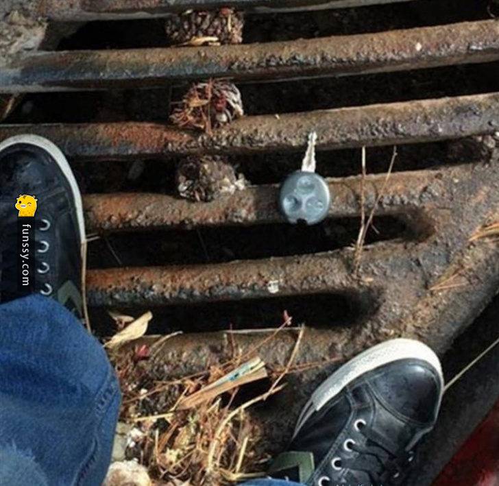 25個真的發生在這世界的各種奇葩的事