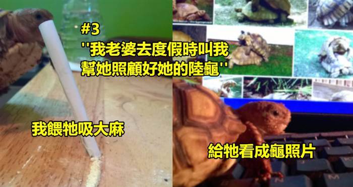 20個各種各樣另一半不在家，出遠門或無厘頭的的搞笑行為