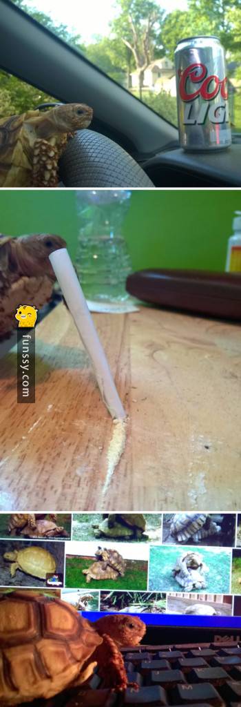 20個各種各樣另一半不在家，出遠門或無厘頭的的搞笑行為