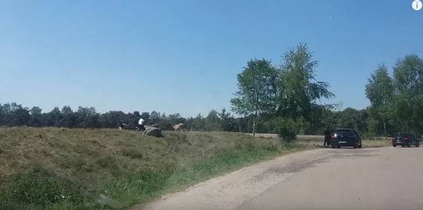 這對夫妻不怕死帶小孩下車危險拍獵豹，竟慘被當成食物！他們全家人眼睜睜看著「獵豹朝自己衝過來」！