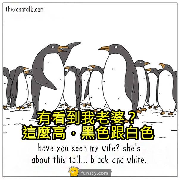 8張「動物們的內心想法爆笑插圖」！以後再也無法直視你的寵物了！