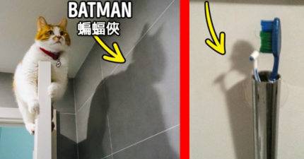 27張揉到眼睛都瞎了還是看錯的「驚奇視覺錯覺照片」！