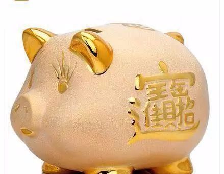 生肖豬：大智若愚者，知世故卻不世故，活得很通透