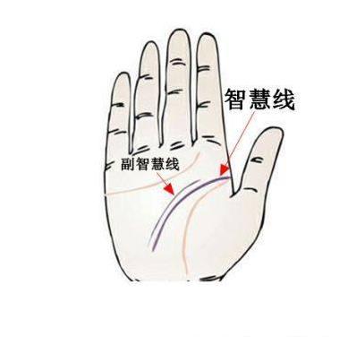從一個女人的手上就能看出，自己是不是旺夫命，其中有這8個特點