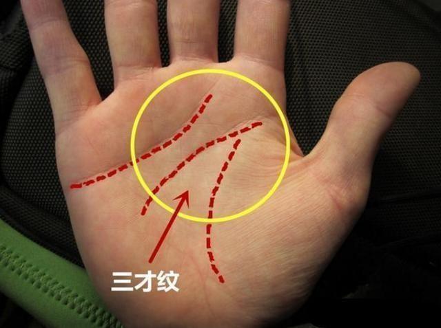 可遇而不可求的手相，一輩子富貴壽全，看看你有沒有 