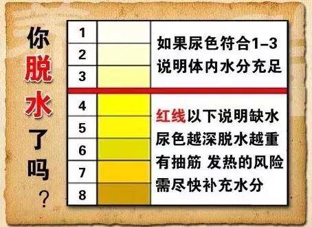 早上起床第一口水怎麼喝？2種水千萬別喝！毀腎、毀胃、毀血管
