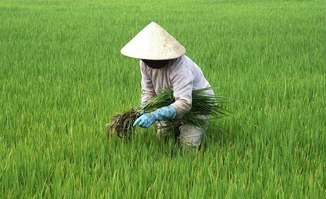 血液為什麼粘稠？與吃關係很大，醫生奉勸：這3類食物再喜歡也不要碰
