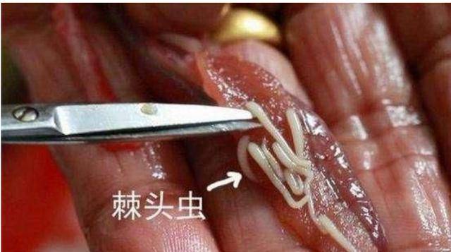 別再吃這5種食物了，含有太多的寄生蟲、病菌，比馬桶都髒！