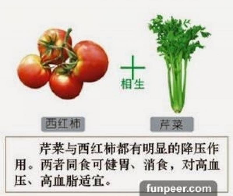 哪種食物會相剋？你一定不能不知道，別吃錯哦！快收藏