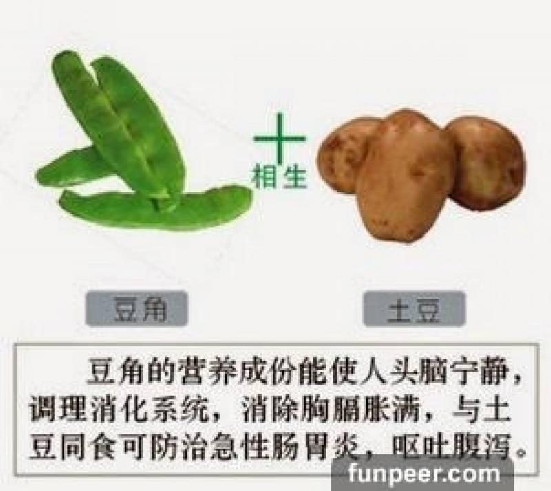 哪種食物會相剋？你一定不能不知道，別吃錯哦！快收藏