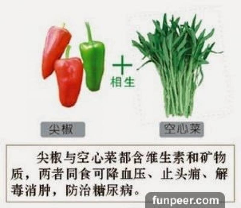 哪種食物會相剋？你一定不能不知道，別吃錯哦！快收藏