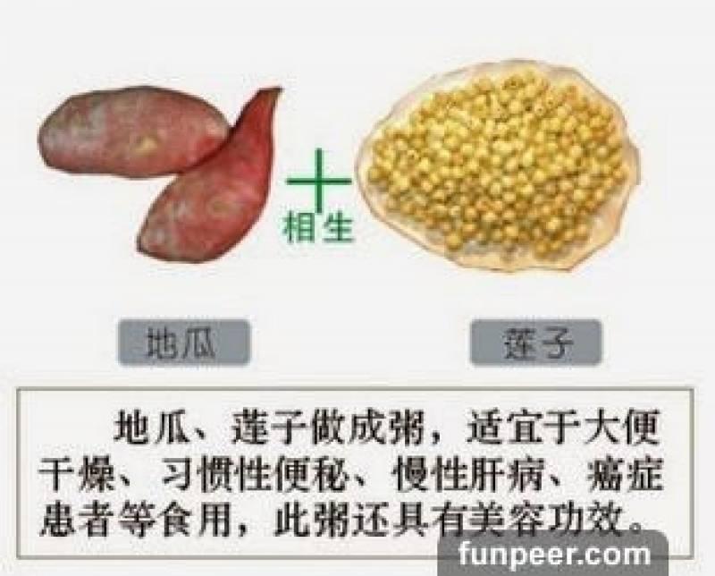 哪種食物會相剋？你一定不能不知道，別吃錯哦！快收藏
